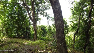 Yalobusha County 70.758 Acres of Open and Wooded land with a - photo 19