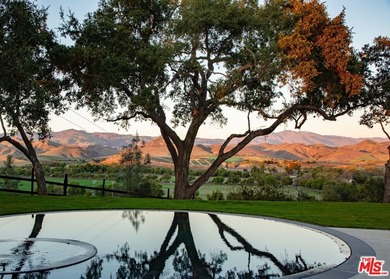 Unparalleled beauty and style define this reimagined ranch - photo 3