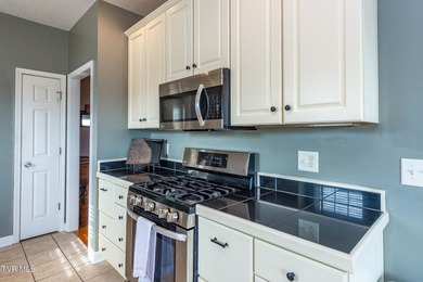 Welcome to 179 Cindy Anne Dr in Gray, TN, a well-maintained - photo 12