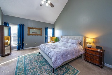 Welcome to 179 Cindy Anne Dr in Gray, TN, a well-maintained - photo 18