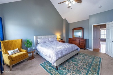 Welcome to 179 Cindy Anne Dr in Gray, TN, a well-maintained - photo 19