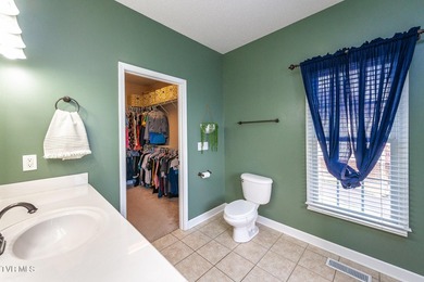 Welcome to 179 Cindy Anne Dr in Gray, TN, a well-maintained - photo 20