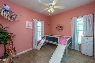 Welcome to 179 Cindy Anne Dr in Gray, TN, a well-maintained - photo 22