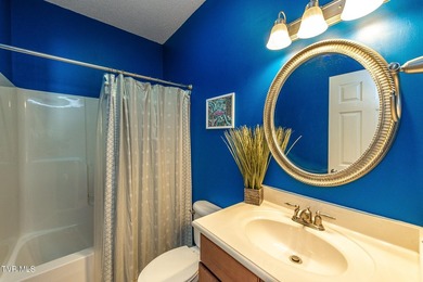 Welcome to 179 Cindy Anne Dr in Gray, TN, a well-maintained - photo 24
