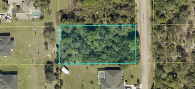 Lehigh Acres Area Lot For Sale in Lehigh Acres Florida