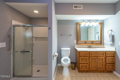 Welcome to 179 Cindy Anne Dr in Gray, TN, a well-maintained - photo 32