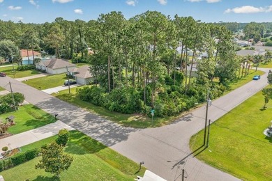 AMAZING CORNER LOT.......what a fantastic opportunity to build - photo 4