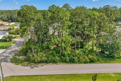 AMAZING CORNER LOT.......what a fantastic opportunity to build - photo 5