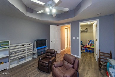 Welcome to 179 Cindy Anne Dr in Gray, TN, a well-maintained - photo 35