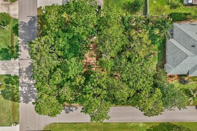 AMAZING CORNER LOT.......what a fantastic opportunity to build - photo 7