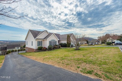Welcome to 179 Cindy Anne Dr in Gray, TN, a well-maintained - photo 47