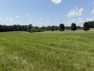 Large Residential Lots in a Lakeside Subdivision - photo 14