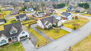 Welcome to 179 Cindy Anne Dr in Gray, TN, a well-maintained - photo 49