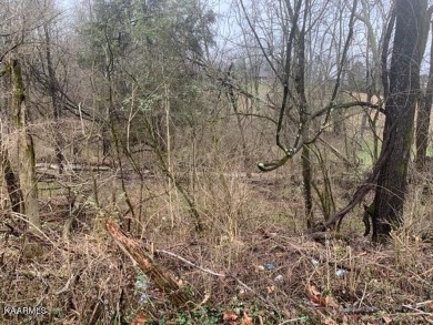 Lake Lot Off Market in New Tazewell, Tennessee