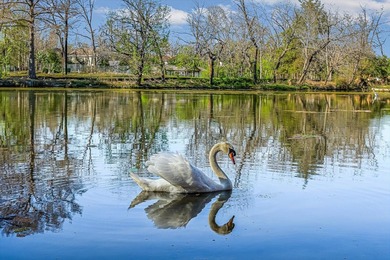 Incredible value on Lake Austin. A new dock building permit for - photo 4