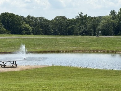 Large Residential Lots in a Lakeside Subdivision - photo 20