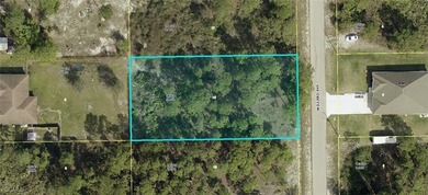 Lehigh Acres Area Lot For Sale in Lehigh Acres Florida