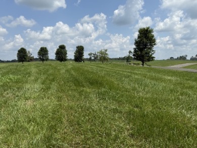 Large Residential Lots in a Lakeside Subdivision - photo 15