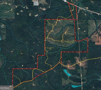 (private lake, pond, coastal) Acreage Sale Pending in Butler Georgia