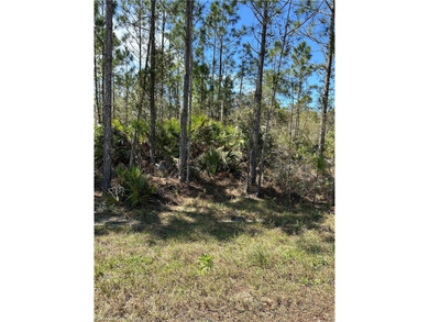 Lake June in Winter Lot For Sale in Lake Placid Florida