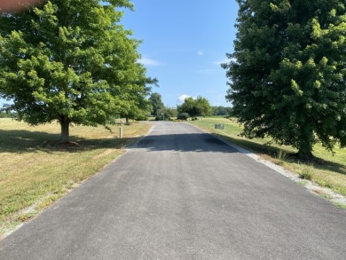 Large Residential Lots in a Lakeside Subdivision - photo 8