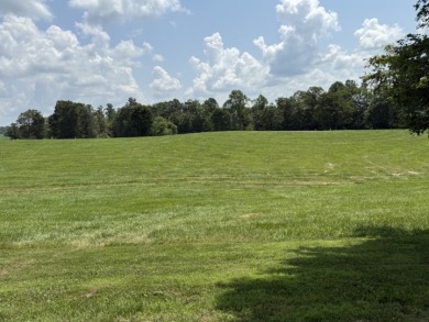 Large Residential Lots in a Lakeside Subdivision - photo 12