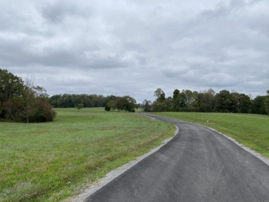 Large Residential Lots in a Lakeside Subdivision - photo 22