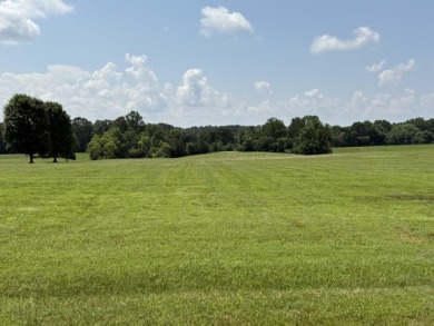 Large Residential Lots in a Lakeside Subdivision - photo 19