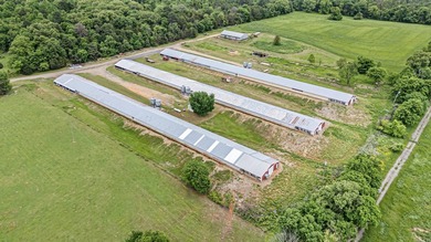 Turnkey 3-house Tyson contracted broiler farm on 30+/- acres in - photo 5