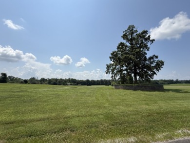 Large Residential Lots in a Lakeside Subdivision - photo 18