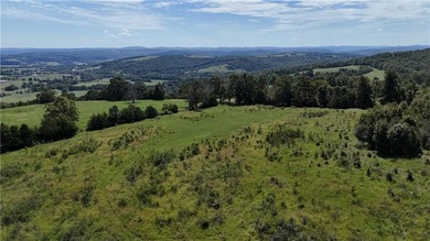 (private lake, pond, creek) Commercial For Sale in Huntsville Arkansas