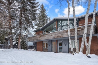 Settle into the Aspen lifestyle from this inviting three-bedroom - photo 19