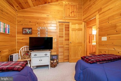 One-of-a-kind Youghiogheny riverfront estate offering 400 feet - photo 20