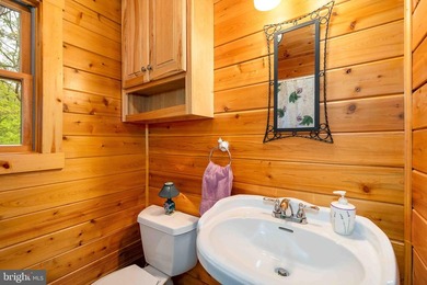 One-of-a-kind Youghiogheny riverfront estate offering 400 feet - photo 33