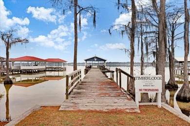 Discover lake living in this delightful, 4 bedroom, 2 bathroom - photo 34