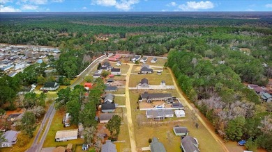 Discover lake living in this delightful, 4 bedroom, 2 bathroom - photo 42