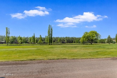 One of the finest lots in Munds Park. Situated at the end of a - photo 47