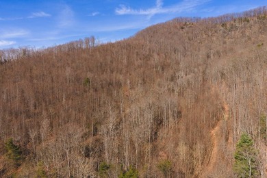 (private lake, pond, creek) Acreage For Sale in Taylorsville North Carolina