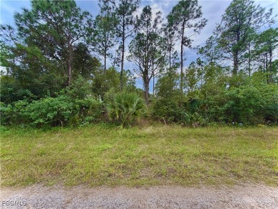 Lehigh Acres Area Lot For Sale in Lehigh Acres Florida