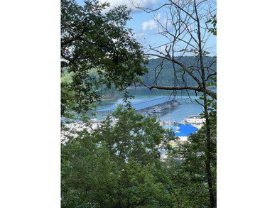 AFFORDABLE LAKE VIEW Cabin Near Jamestown Marina! If you've been - photo 3
