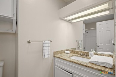 Just west of Downtown Austin, this gorgeous, recently renovated - photo 6