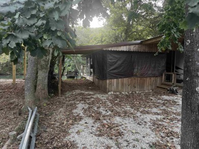 Waterfront Getaway on the Beautiful Spring River! This - photo 21