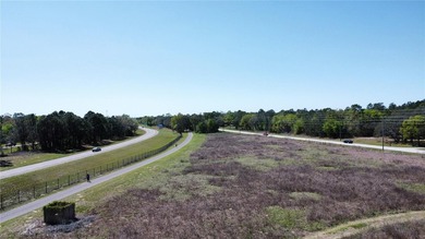 Presenting 1290 Anderson Snow Rd, a premier commercial - photo 3