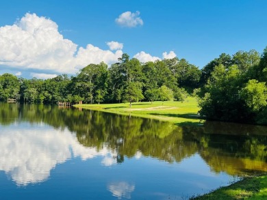 (private lake, pond, creek) Home For Sale in Ochlocknee Georgia