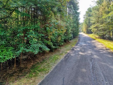 Lake Lot For Sale in Blairsville, Georgia