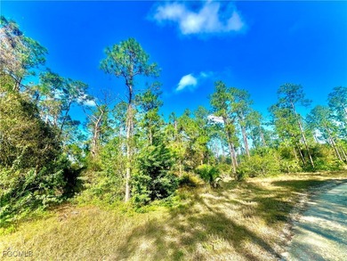 Lehigh Acres Area Lot For Sale in Lehigh Acres Florida