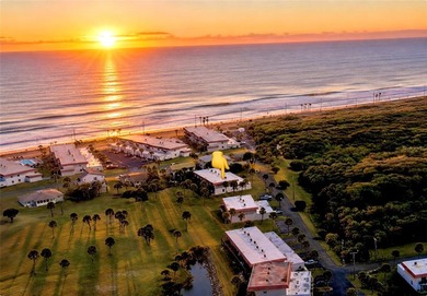 Experience the Flagler Beach lifestyle in this truly unique - photo 1