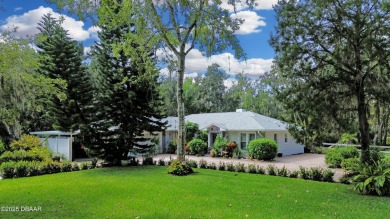 (private lake, pond, creek) Home Sale Pending in New Smyrna Beach Florida