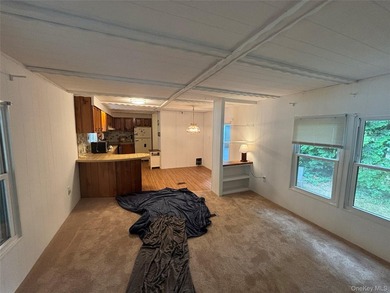 Welcome to Aquebogue Mobile Home Court. - A 55 & Over - photo 3