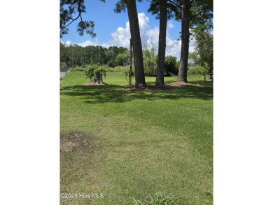 Lake Lot For Sale in Scranton, North Carolina